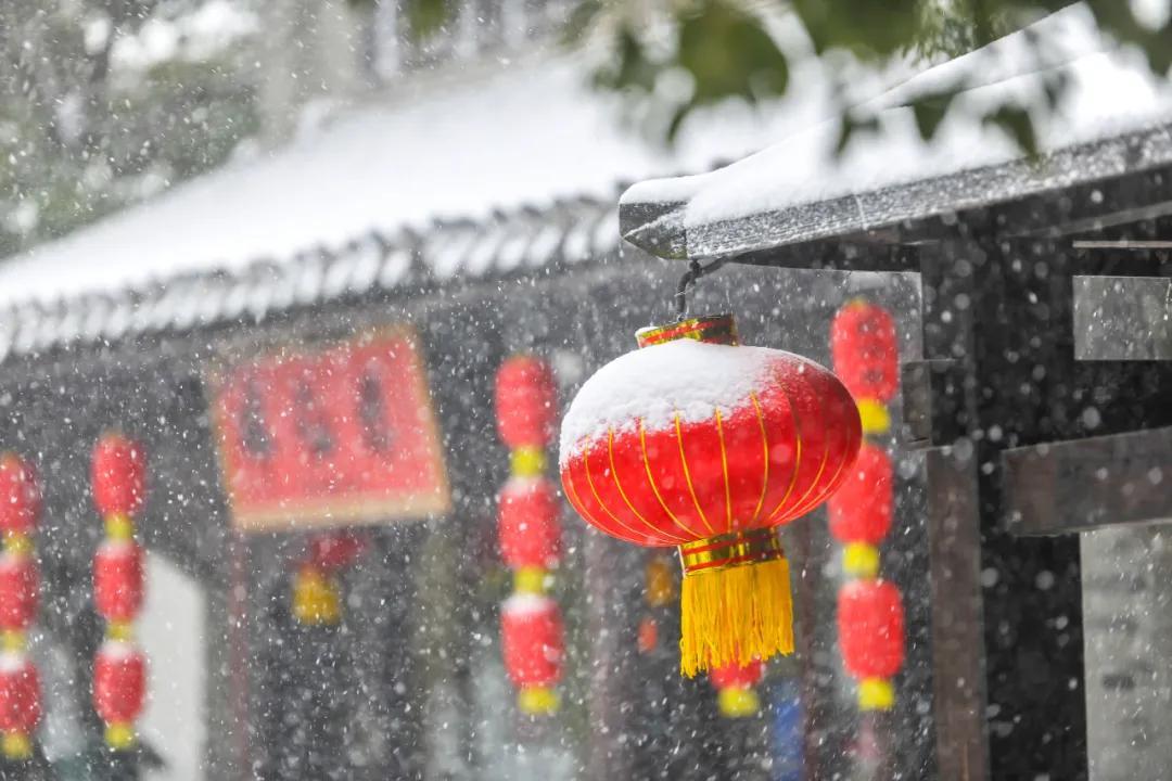 雪乡景区官网，探秘北国雪域，体验童话世界