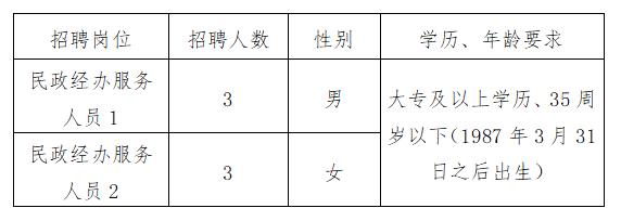 宜州市民政局最新招聘信息全面解析