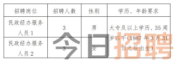 博兴县人民政府办公室最新招聘信息概述